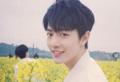 肖战最新爆料杨紫,杨紫幕后故事，独家爆料引热议